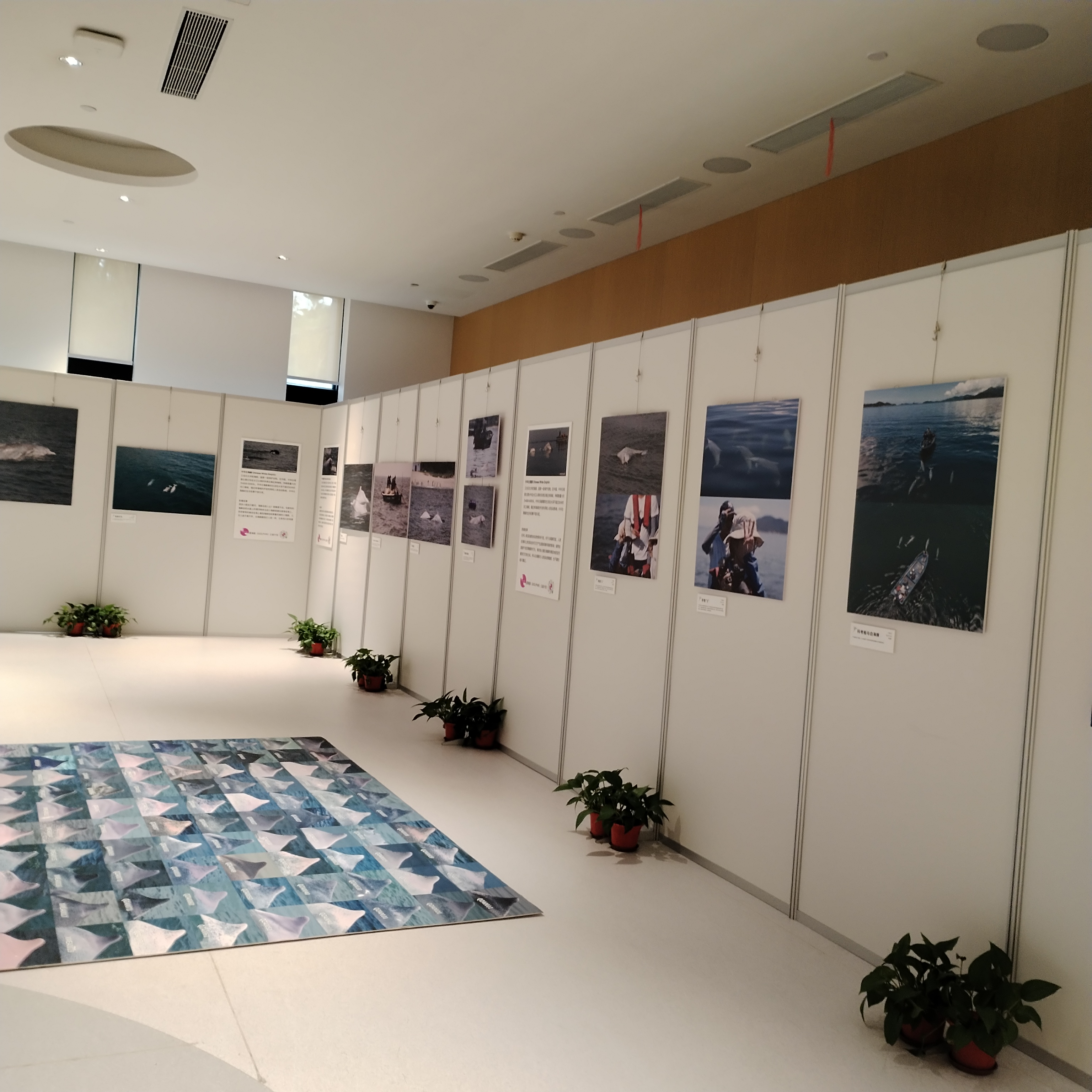 铝合金展架出租价格如何计算