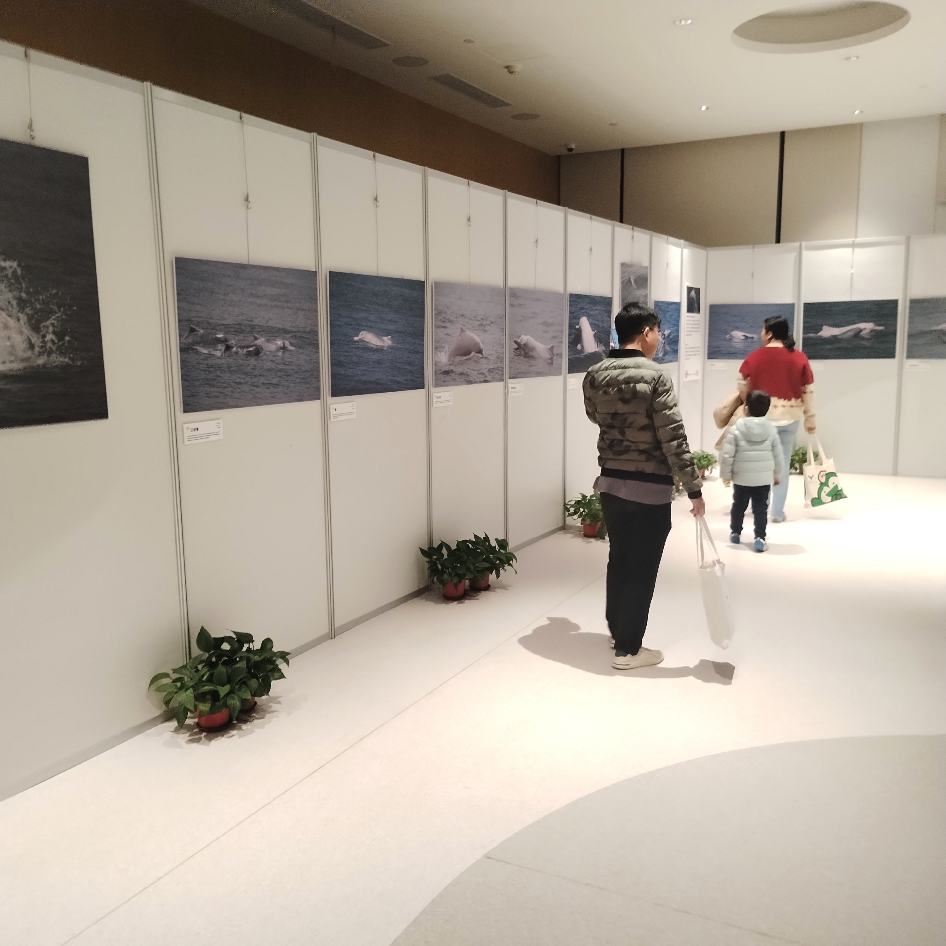 八棱柱展板 